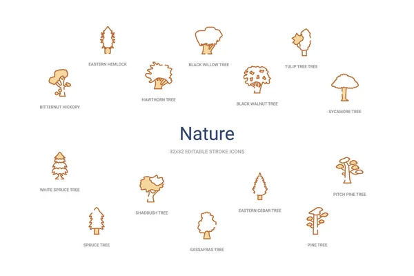 Natuur concept 14 kleurrijke schets pictogrammen. 2 kleuren blauw streep ic — Stockvector