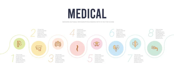 Plantilla de diseño infográfico concepto médico. incluyendo nasal, thy — Vector de stock