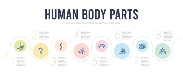 stock vector human body parts concept infographic design template. included r