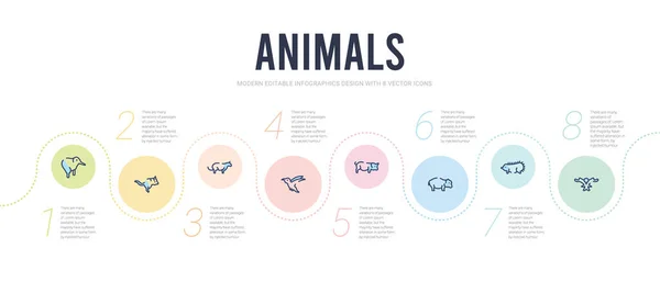 Modelo de design infográfico conceito de animais. incluído falcão, hegd —  Vetores de Stock