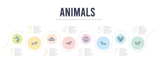 Животных концепция шаблона инфографического дизайна. включено кошка паллас — стоковый вектор