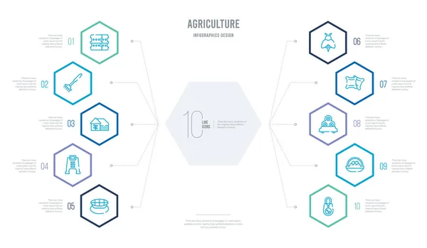 Agriculture concept business infographic design with 10 hexagon — 스톡 벡터