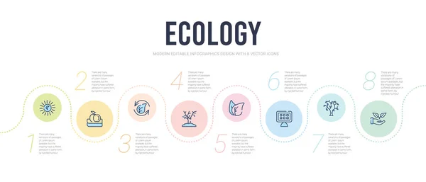 Concepto de ecología plantilla de diseño infográfico. planta incluida en un — Archivo Imágenes Vectoriales