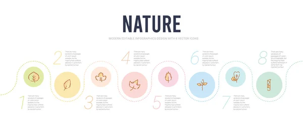 Plantilla de diseño infográfico concepto de naturaleza. incluido el escuamiforme — Vector de stock