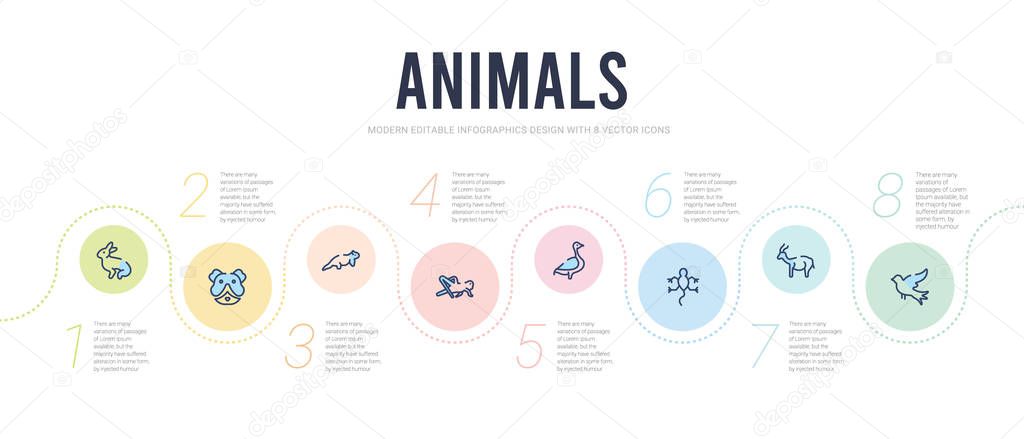 animals concept infographic design template. included flying dov