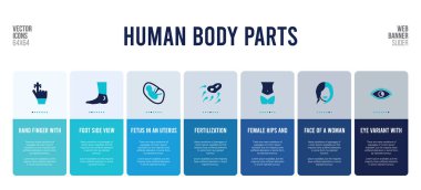 İnsan vücut parçaları konsept elementlerine sahip web pankartı tasarımı.
