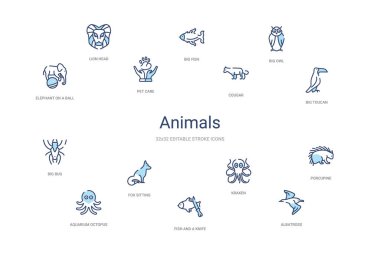 Hayvanlar konsepti 14 renkli taslak simgeleri. 2 renk mavi vuruş!