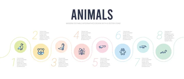 Modelo de design infográfico conceito de animais. vison incluído, formiga — Vetor de Stock