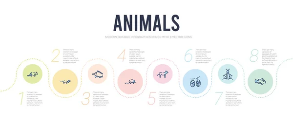 动物概念信息图形设计模板。 包括小丑鱼, — 图库矢量图片