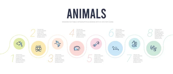 Concepto de animales plantilla de diseño infográfico. Incluido copperhead — Archivo Imágenes Vectoriales