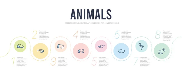 Concepto de animales plantilla de diseño infográfico. alce incluido, flami — Archivo Imágenes Vectoriales