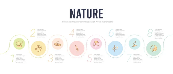 Nature Concept Infografik-Design-Vorlage. einschließlich reniforme, l — Stockvektor