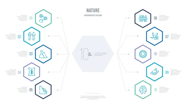 Концепция бизнес-инфографический дизайн с 10 hexagon optio — стоковый вектор