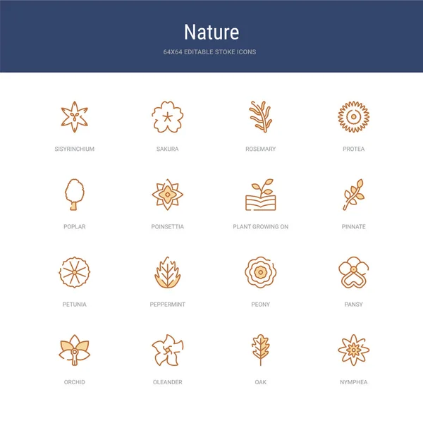Set di 16 icone di ictus vettoriale come ninfea, quercia, oleandro, o — Vettoriale Stock