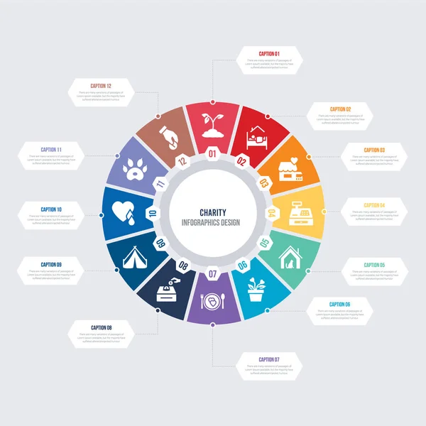 Ronde 12 options organisme de bienfaisance infographie modèle conception. organisme de bienfaisance ap Illustration De Stock