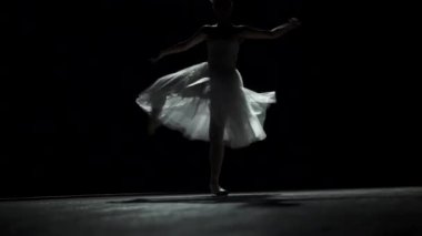Klasik Tutu balerin silüeti