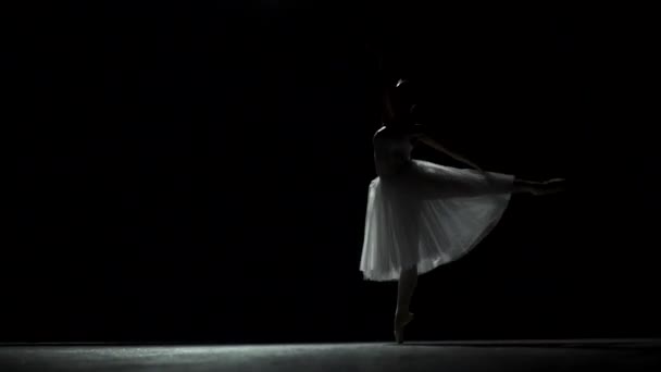 Όμορφη γυναίκα χορευτής μπαλέτου — Αρχείο Βίντεο