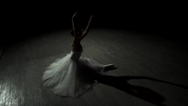 Danseuse de ballet jouant sur scène — Video