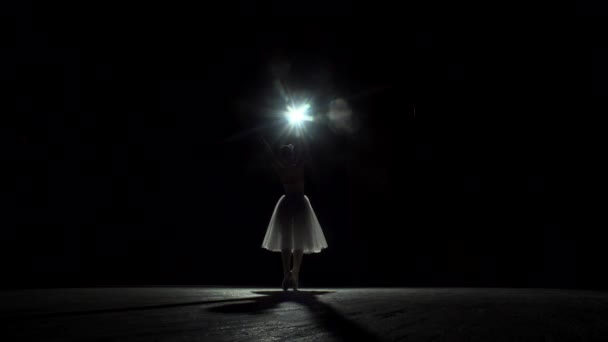Dançarina de balé no palco no teatro — Vídeo de Stock