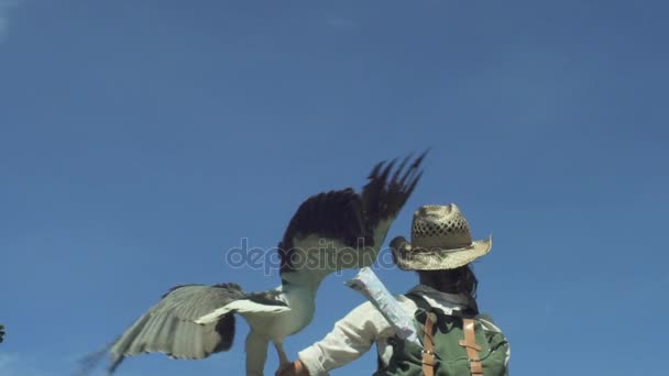 Schönes Mädchen mit Adler-Vogel — Stockvideo