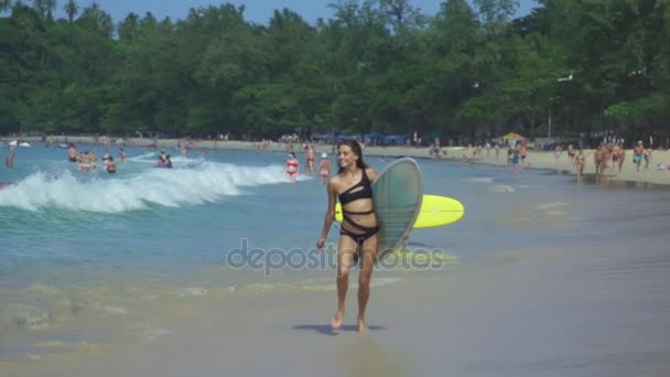 Summer Fun On Holidays Travel Vacation — Stock Video