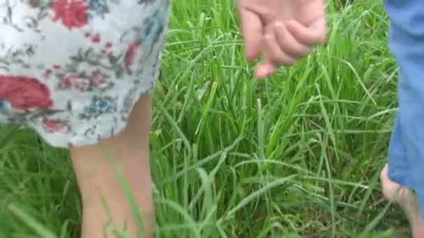 녹색 풀밭에서 실행 하는 두 친구 — 비디오