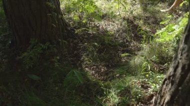 Genç Model beyaz tüyler elbise