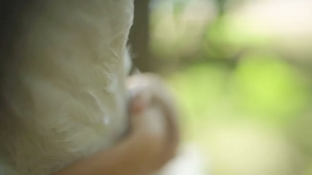 Femme avec des plumes robe promenade dans la nature 