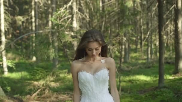 Chica en vestido de Glamour de moda con pluma — Vídeo de stock