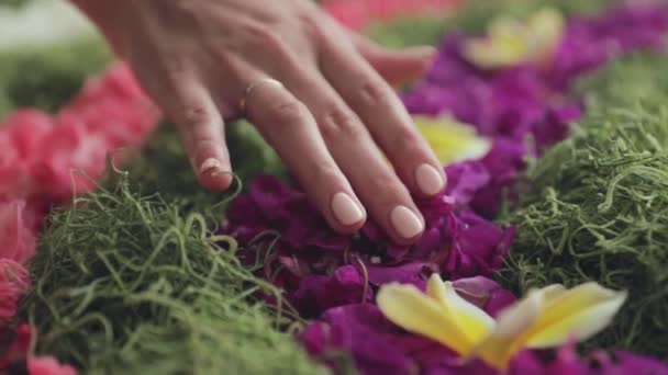 Женские руки с цветами — стоковое видео
