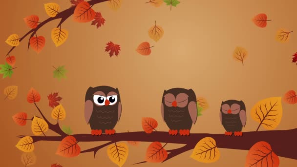 Carte de vœux de Thanksgiving avec hiboux et feuilles d'automne — Video