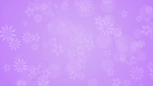 Light purple moving background with flowers — Stock Video