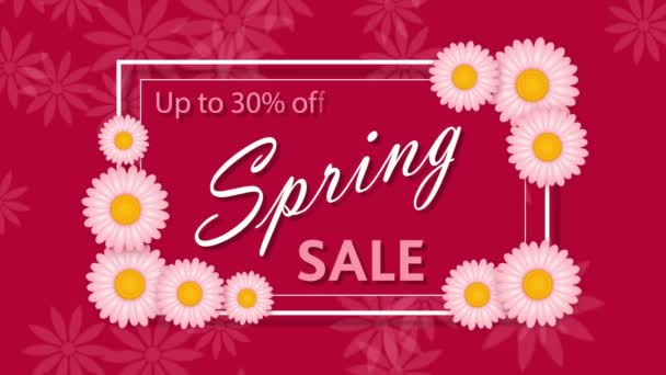 Spring sale, discount thirty percent on the pink background with flowers — Stock Video