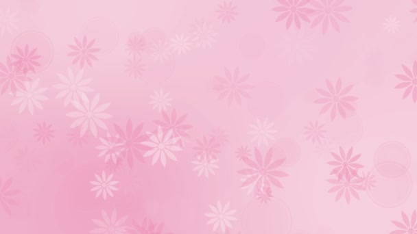 Abstract colorful pink background with flowers — Stock Video