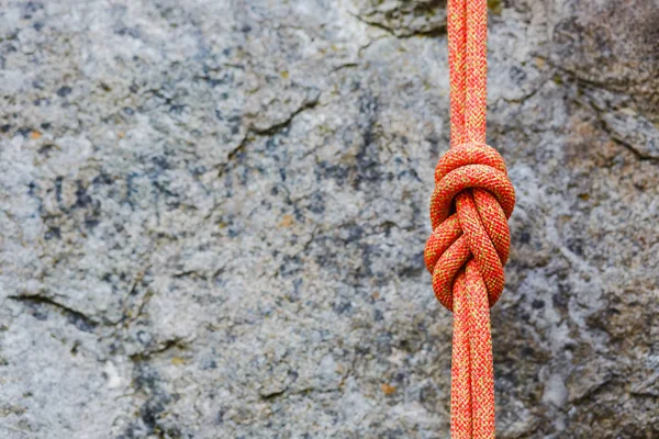 Eight rope knot — Stock Photo, Image