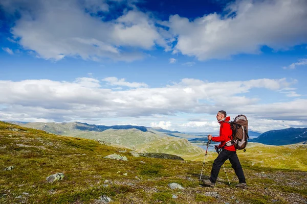 Aktive männliche Wanderer beim Wandern — Stockfoto