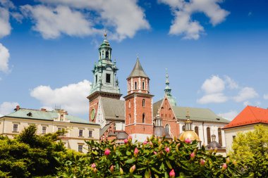Polonya, Krakow 'daki Wawel Kalesi