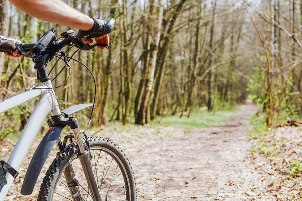 Cyklista na koni horské kolo na lesní cestě — Stock fotografie