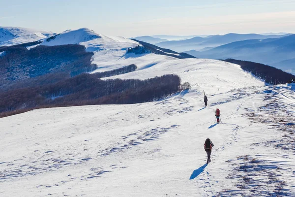 Dağlarda bir grup yürüyüşçü