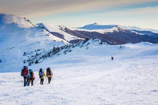 Kış dağlar'da yürüyüş. Seyahat ve spor kavram insanlar — Stok fotoğraf