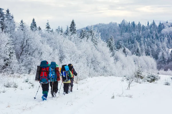 Grupo de caminhantes em trilha de neve na floresta de inverno — Fotografia de Stock