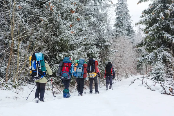 Parkur üzerinde kar iz kış ormandaki grubu