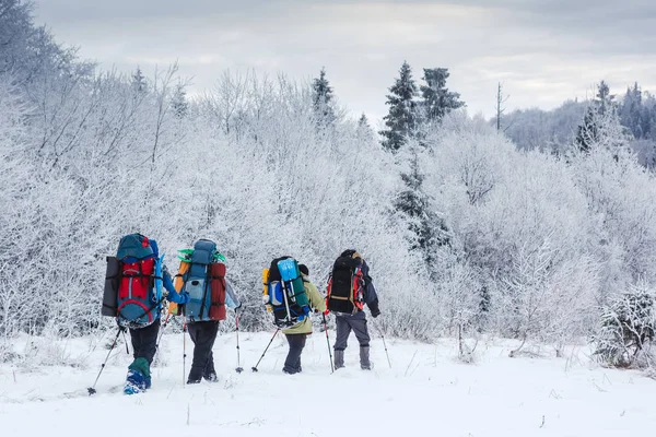 Grupo de excursionistas en sendero de nieve en bosque invernal —  Fotos de Stock