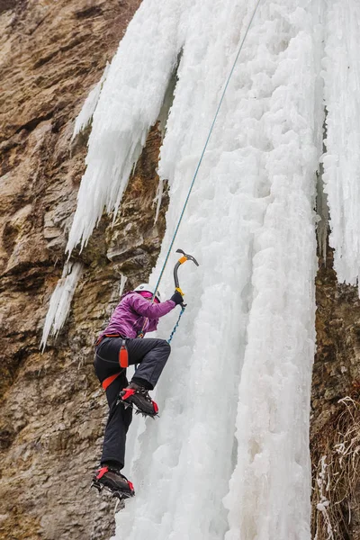 Alpiniste monte la chute de glace verticale avec des pics de glace — Photo