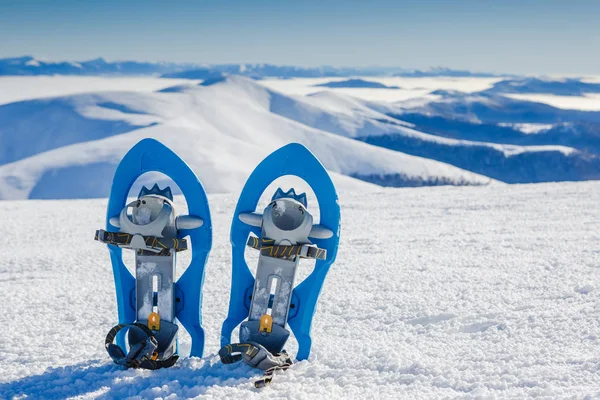 Χιονοπέδιλα σε χιόνι το χειμώνα στα βουνά με όμορφο τοπίο — Φωτογραφία Αρχείου