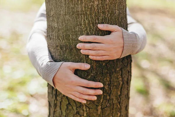 Abrazando árboles. Primer plano de las manos abrazando el árbol — Foto de Stock