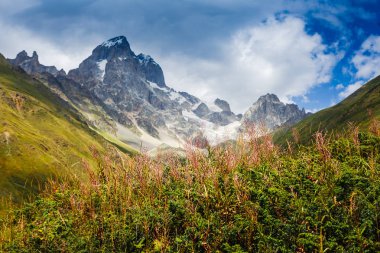 Georgia dağlar yaz aylarında güzel manzarasına. Üst Svaneti, Georgia, Avrupa. Kafkas Dağları. Dır