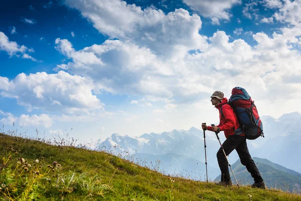 Etkin hiker yeşil kara yoluyla güneşli günde yürüyüş