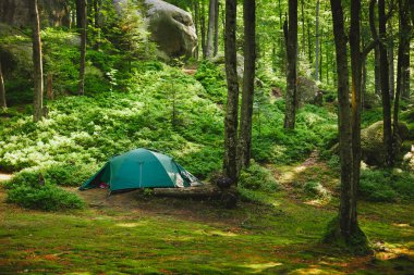 Orman kampı çadırda turizm