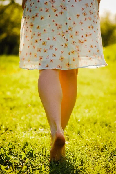 Mujer joven en el vestido caminando en el prado con hierba verde Fotos De Stock Sin Royalties Gratis